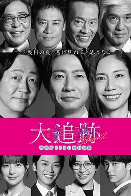 大追蹤警視廳SSBC強(qiáng)行犯系第二季海報(bào)